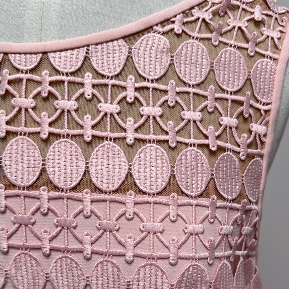Elegant Pink Lace Dress - Picture 5 of 6